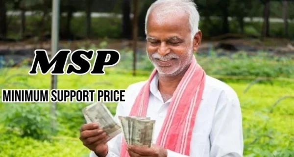 MSP Full Form In Hindi