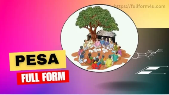 PESA Act Full Form In Hindi